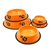 dog bowl and stand
